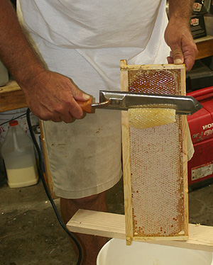 Orange County Beekeeping: honey production