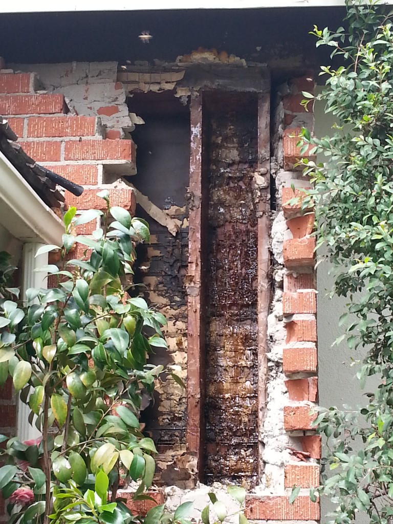 Bees behind brick